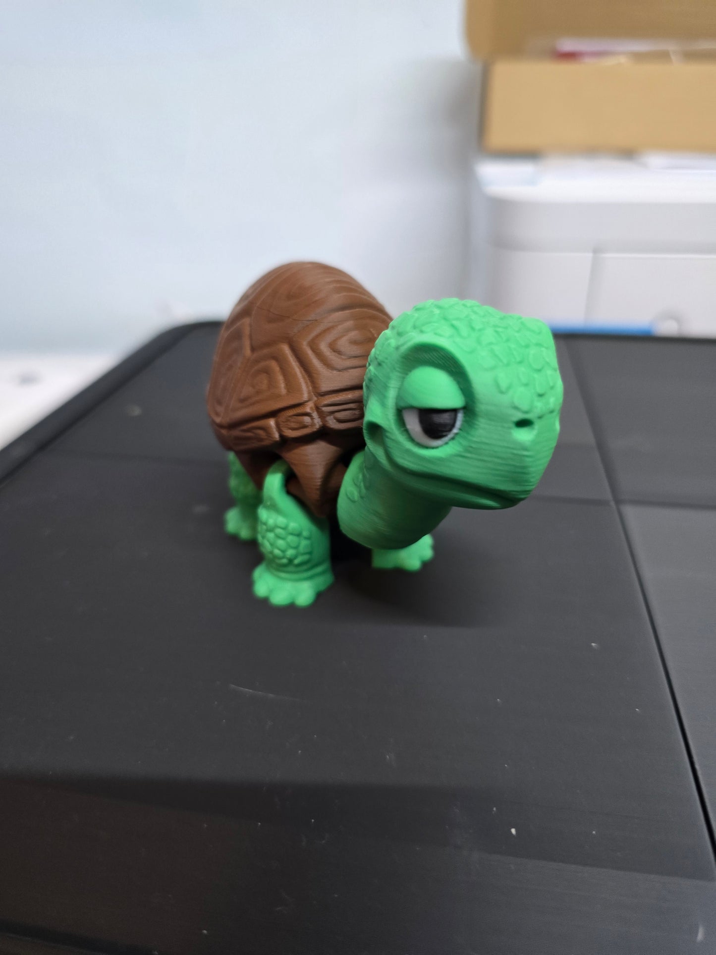 Flexy Tortoise
