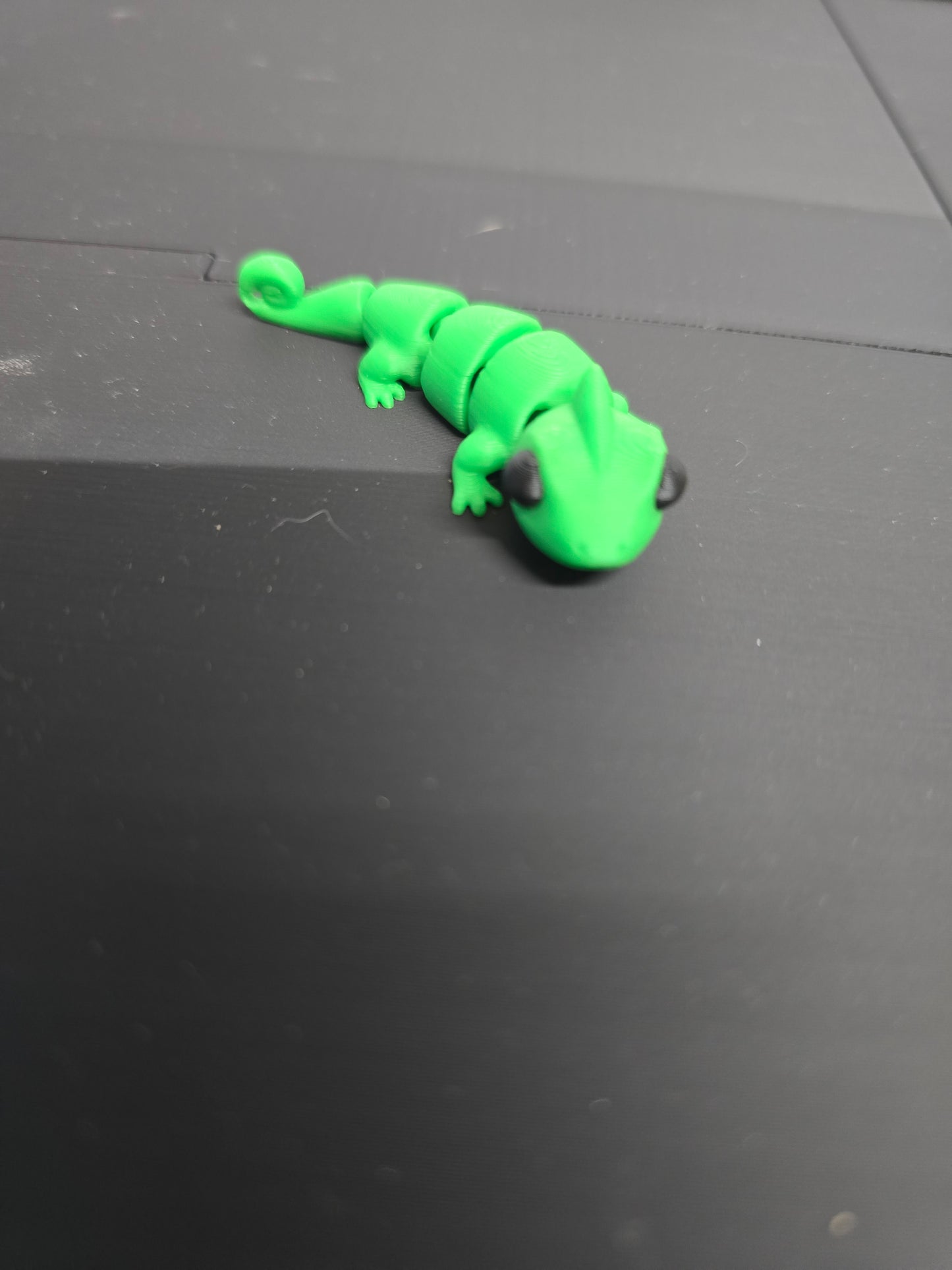 Flexy chameleon